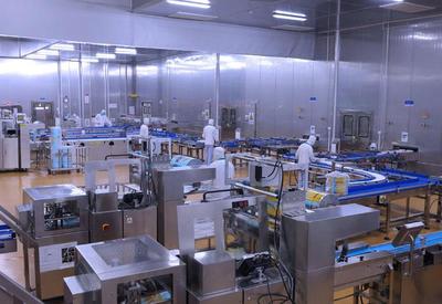 一枚核桃包如何做到產(chǎn)值上億元?|廣東高質(zhì)量發(fā)展企業(yè)行