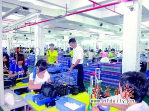 雙專 助推粵東玩具等小微企業出口轉內銷