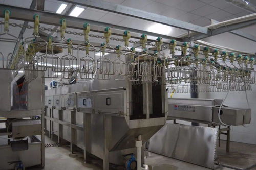 富寧首家,安好農貿市場禽類加工廠試運行 每小時可屠宰2000只