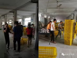 安新三臺鎮,因這事4人被拘留