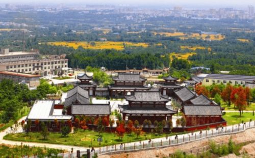 產(chǎn)業(yè)振興的鄉(xiāng)村開發(fā)模式 運(yùn)營類型篇