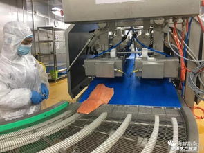 全球最大三文魚生產商mowi上海加工廠投產運營